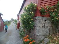 Hardangerfjord mit Hardangervidda, Naturcenter und Lofthus (28)