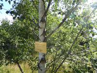 Gedenktafel für die ermordeten Jugendlichen auf der Insel Utoya