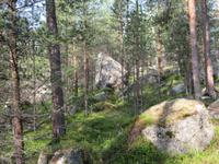 Findlinge im Wald der Bärenhöhle
