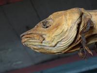 046. Hanseatisches Museum, Bergen, Norwegen, AIDAvita