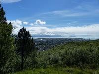 182. Blick auf Bodo vom Ronvikfjell, Norwegen, AIDAvita