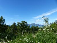 184. Ronvikfjell, Norwegen, AIDAvita