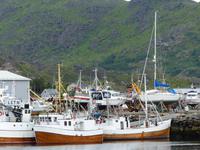 219. Fischerdorf, Lofoten, Norwegen, AIDAvita