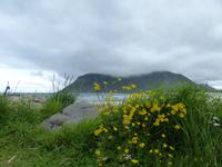 224. Lofoten, Norwegen, AIDAvita