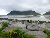 225. Lofoten, Norwegen, AIDAvita