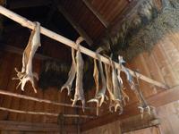 236. Wikingermuseum Lofotr, Lofoten, Norwegen, AIDAvita