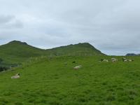 242. Wikingermuseum Lofotr, Lofoten, Norwegen, AIDAvita