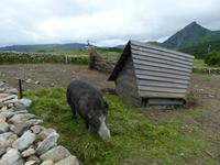 245. Wikingermuseum Lofotr, Lofoten, Norwegen, AIDAvita