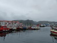 278. Honningsvag, Nordkap, Norwegen, AIDAvita