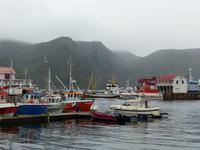 279. Honningsvag, Nordkap, Norwegen, AIDAvita