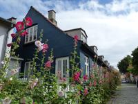 352. Aarhus, Dänemark, AIDAvita