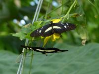 356. Botanischer Garten, Aarhus, Dänemark, AIDAvita