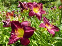 360. Aarhus, Dänemark, AIDAvita