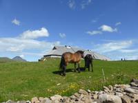 007_Wikingermuseum_Borg