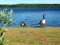 Schwedische Impressionen 