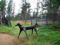 Lappländische Impressionen