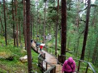 Bärenhöhle am Inarisee
