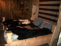 Bei den Wikingern in Borg