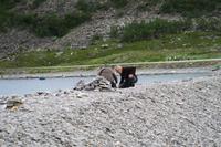 Steintürme bauen nach Olderfjord