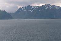 Eins der vielen U Boote