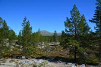 109 Femundsmarka Nationalpark, Wanderung nach Svukuriset