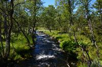 112 Femundsmarka Nationalpark