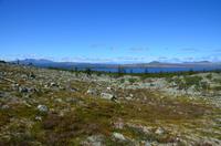 115 Femundsmarka Nationalpark