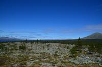 116 Femundsmarka Nationalpark