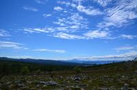 119 Femundsmarka Nationalpark