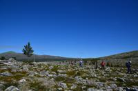 121 Femundsmarka Nationalpark