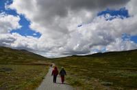 152 Dovrefjell, Wanderung zum Snøhetta Aussichtspunkt