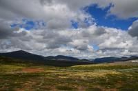 153 Dovrefjell, Wanderung zum Snøhetta Aussichtspunkt