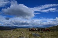 159 Dovrefjell, Snøhetta Aussichtspunkt
