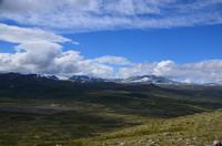 163 Dovrefjell