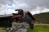 167 Dovrefjell, Troll