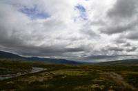 178 Dovrefjell, Moschusochsensafarie