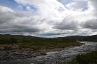 179 Dovrefjell, Moschusochsensafarie