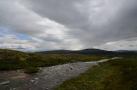 192 Dovrefjell, Moschusochsensafarie