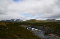 194 Dovrefjell, Moschusochsensafarie