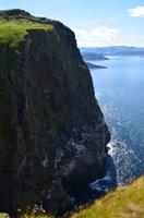 347 Insel Runde, Basstölpel am Vogelfelsen