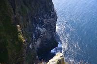 354 Insel Runde, Basstölpel am Vogelfelsen