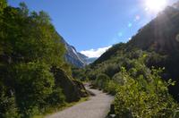 385 Wanderung zum Briksdalsbreen