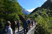386 Wanderung zum Briksdalsbreen