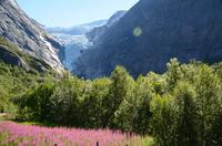411 Wanderung zum Briksdalsbreen