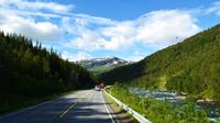 126 Hinauf zum Fjell