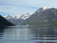 Kreuzfahrt auf dem Geirangerfjord
