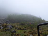 Weg zum Briksdalsbreen