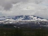 Snöhätta im Dovrefjell