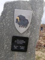 Moschus Stele im Dovrefjell
