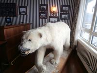 Hotel Scandic Parken